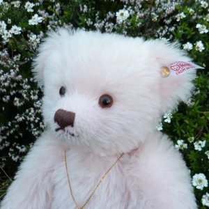 画像6: 1点限り☆  2005年 シュタイフ イングランドローズ 30cm 1331番 イギリス限定品