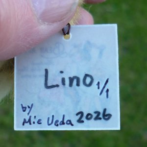 画像5: 1点もの☆ Lino by Mie Ueda 10.5 cm　(日本）