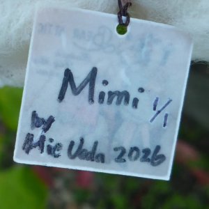 画像6: 1点もの☆ Mimi  by Mie Ueda 10 cm　(日本）