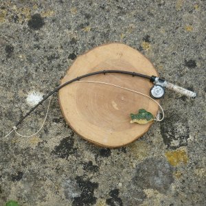 画像6: 2003年☆ Isaak Walton by Liz  23cm（フォーゲットミーノット）1番