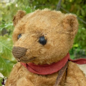 画像3: 2003年☆ Isaak Walton by Liz  23cm（フォーゲットミーノット）1番