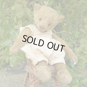 画像1: 1体限り☆ 2000年☆ Billy Gillett by Liz  25cm（フォーゲットミーノット）3番