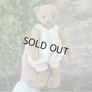 画像4: 1体限り☆ 2000年☆ Billy Gillett by Liz  25cm（フォーゲットミーノット）3番