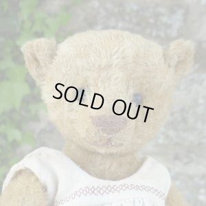 画像6: 1体限り☆ 2000年☆ Billy Gillett by Liz  25cm（フォーゲットミーノット）3番