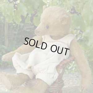 画像3: 1体限り☆ 2000年☆ Billy Gillett by Liz  25cm（フォーゲットミーノット）3番