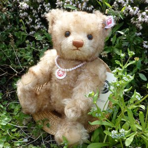 画像3: 【ウィットニー限定】　シュタイフ ハッピー 22cm 　208番