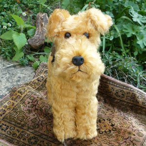 画像2: 2026年発売☆ メリーソート ウェルシュテリア　28cm 