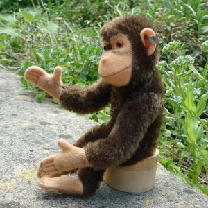 画像3: 大変良い状態です☆ 16cm Steiff Jocko Chimpanzee 1950年代〜1960年代　（ビンテージ）