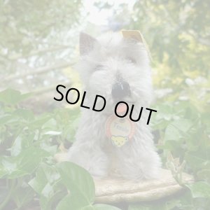 画像3: ID全てあり！　Steiff Tessie Schnauzer 1951年 ~ 1957年頃 10cm （ビンテージ）