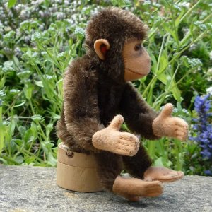 画像5: 大変良い状態です☆ 16cm Steiff Jocko Chimpanzee 1950年代〜1960年代　（ビンテージ）