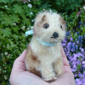 画像4: 10cm Steiff Molly Puppy 推定1960年〜1967年頃　（ビンテージ）