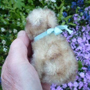 画像7: 10cm Steiff Molly Puppy 推定1960年〜1967年頃　（ビンテージ）