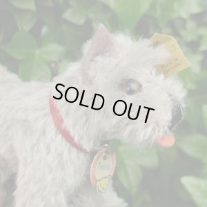 画像6: ID全てあり！　Steiff Tessie Schnauzer 1951年 ~ 1957年頃 10cm （ビンテージ）