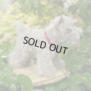 画像5: ID全てあり！　Steiff Tessie Schnauzer 1951年 ~ 1957年頃 10cm （ビンテージ）