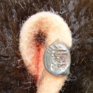 画像6: 大変良い状態です☆ 16cm Steiff Jocko Chimpanzee 1950年代〜1960年代　（ビンテージ）