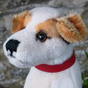 画像3: 激レアです！！ Steiff Elektrola Fox Terrier 17cm 推定1968-1969年頃（ビンテージ）