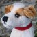 画像3: 激レアです！！ Steiff Elektrola Fox Terrier 17cm 推定1968-1969年頃（ビンテージ） (3)