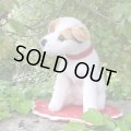 激レアです！！ Steiff Elektrola Fox Terrier 17cm 推定1968-1969年頃（ビンテージ）