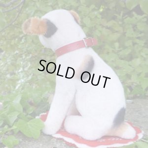 画像6: 激レアです！！ Steiff Elektrola Fox Terrier 17cm 推定1968-1969年頃（ビンテージ）