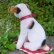 画像6: 激レアです！！ Steiff Elektrola Fox Terrier 17cm 推定1968-1969年頃（ビンテージ） (6)