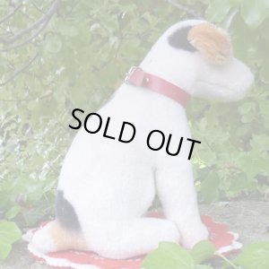 画像5: 激レアです！！ Steiff Elektrola Fox Terrier 17cm 推定1968-1969年頃（ビンテージ）