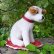 画像2: 激レアです！！ Steiff Elektrola Fox Terrier 17cm 推定1968-1969年頃（ビンテージ） (2)