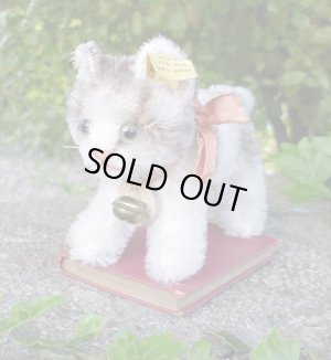 画像1: ID全てあり☆ 10 cm Steiff Tabby Cat 推定1953-1958年頃　（ビンテージ）
