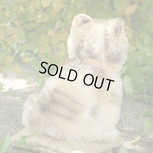 画像3: 大変かわいいお顔です☆ 10cm Steiff Susi Cat 推定1950年-1960年代（ビンテージ）