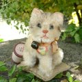 大変かわいいお顔です☆ 10cm Steiff Susi Cat 推定1950年-1960年代（ビンテージ）