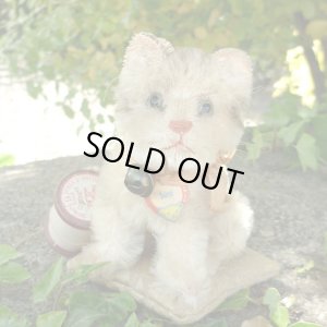 画像1: 大変かわいいお顔です☆ 10cm Steiff Susi Cat 推定1950年-1960年代（ビンテージ）