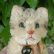 画像4: 大変かわいいお顔です☆ 10cm Steiff Susi Cat 推定1950年-1960年代（ビンテージ） (4)