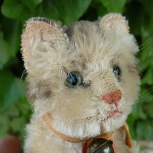 画像6: 大変かわいいお顔です☆ 10cm Steiff Susi Cat 推定1950年-1960年代（ビンテージ）