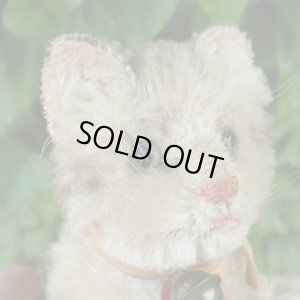 画像6: 大変かわいいお顔です☆ 10cm Steiff Susi Cat 推定1950年-1960年代（ビンテージ）