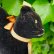 画像5: ID全てあり☆　Steiff Black Tom Cat 10cm 推定1959年-1967年（ビンテージ） (5)