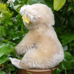 画像5: ID全てあり☆ 12cm Steiff Koala Bear 推定1959年-1961年代（ビンテージ）