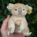 画像6: ID全てあり☆ 12cm Steiff Koala Bear 推定1959年-1961年代（ビンテージ） (6)