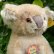 画像3: ID全てあり☆ 12cm Steiff Koala Bear 推定1959年-1961年代（ビンテージ） (3)
