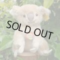 ID全てあり☆ 12cm Steiff Koala Bear 推定1959年-1961年代（ビンテージ）