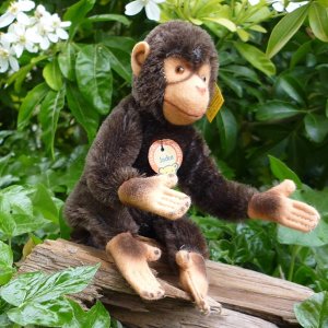 画像2: ID全てあり！新品のような状態です☆ 16cm Steiff Jocko Chimpanzee 1978年〜1981年頃　（ビンテージ）