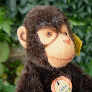 画像5: ID全てあり！新品のような状態です☆ 16cm Steiff Jocko Chimpanzee 1978年〜1981年頃　（ビンテージ）