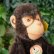 画像5: ID全てあり！新品のような状態です☆ 16cm Steiff Jocko Chimpanzee 1978年〜1981年頃　（ビンテージ） (5)