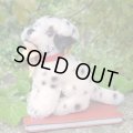 ID全てあり！素晴らしい状態です☆ 10cm Steiff Dally Dalmatian Sitting 1959年〜1967年頃　（ビンテージ）