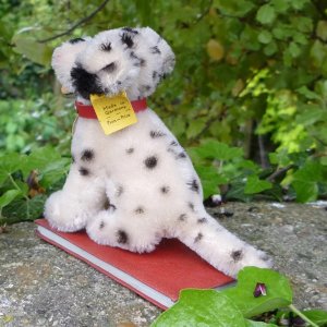 画像2: ID全てあり！素晴らしい状態です☆ 10cm Steiff Dally Dalmatian Sitting 1959年〜1967年頃　（ビンテージ）