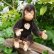 画像1: ID全てあり！新品のような状態です☆ 16cm Steiff Jocko Chimpanzee 1978年〜1981年頃　（ビンテージ） (1)