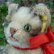 画像6: 14cm Steiff Susi Cat 推定1960年代（ビンテージ） (6)