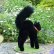 画像3: 人気商品☆ Steiff Black Tom Cat 14cm 推定1959年-1967年頃（ビンテージ） (3)