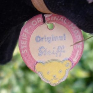 画像8: ID全てあり☆ Steiff Black Tom Cat 8cm 推定1950年-1958年頃（ビンテージ）
