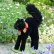 画像1: 人気商品☆ Steiff Black Tom Cat 14cm 推定1959年-1967年頃（ビンテージ） (1)