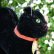 画像4: 人気商品☆ Steiff Black Tom Cat 14cm 推定1959年-1967年頃（ビンテージ） (4)