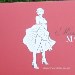 画像12: 2026年新作☆ 送料無料☆ マリリン・モンロー テディベア 生誕100周年記念 29cm　265番